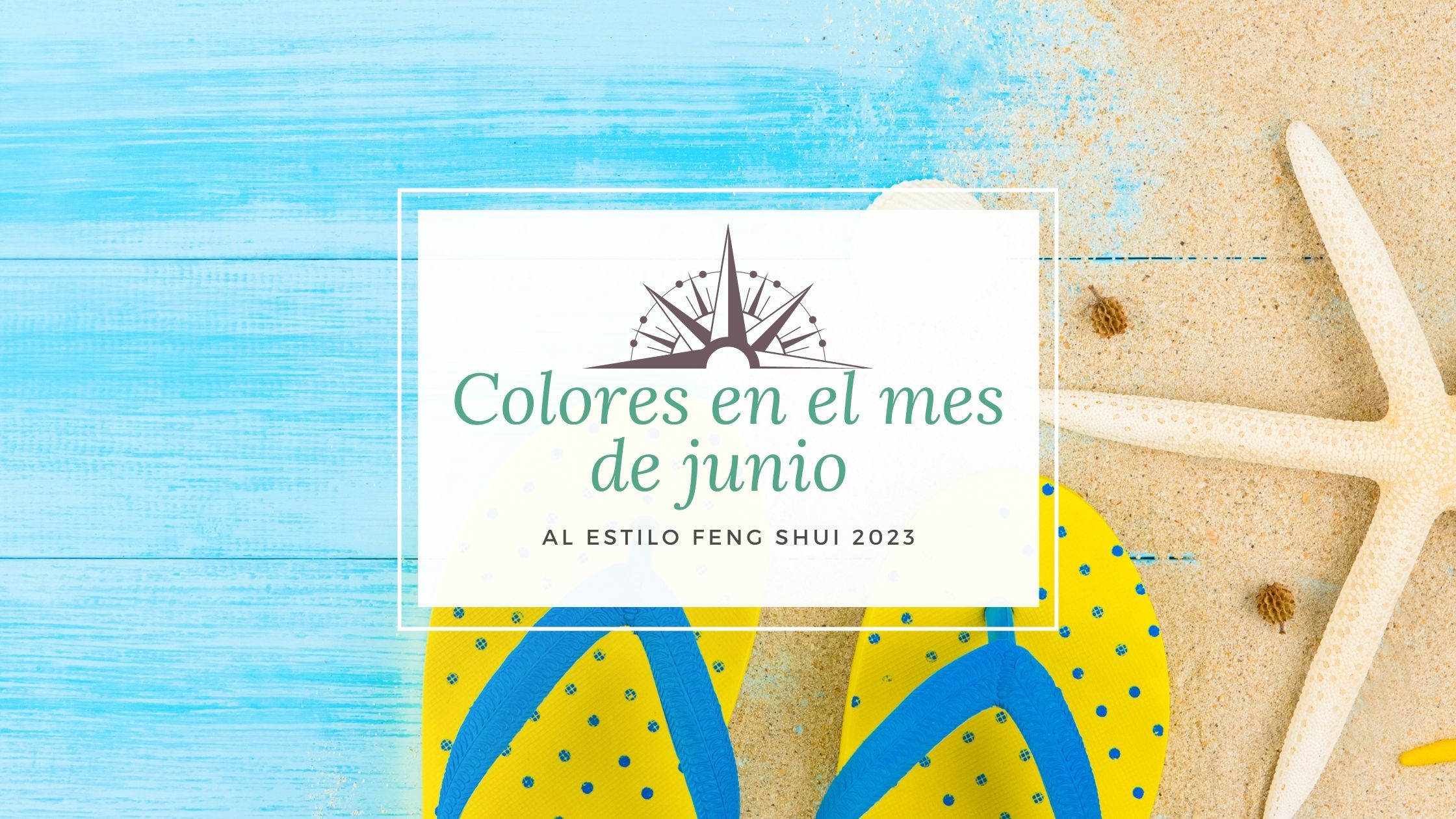 Paleta de color de Junio 2023 Asesoría de imagen bogota Lia Imagen