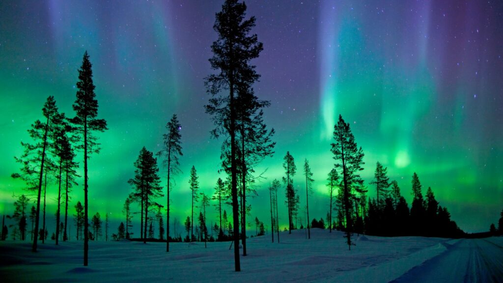Paisaje de invierbo representando la Aurora borealis