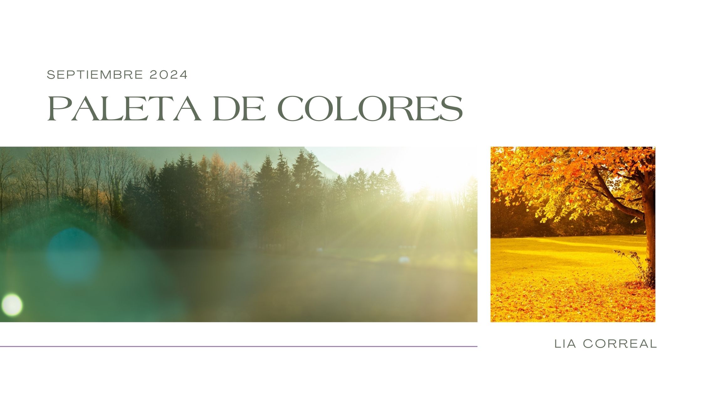 Paisaje de otoño en septiembre 2024 con árboles y hojas en tonos cálidos como dorados y marrones, capturando la esencia de la paleta de colores del mes