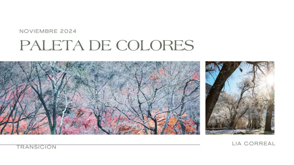 Paisaje de transición en noviembre, mostrando árboles sin hojas y colores cálidos en el suelo, que simbolizan el cambio de estaciones.